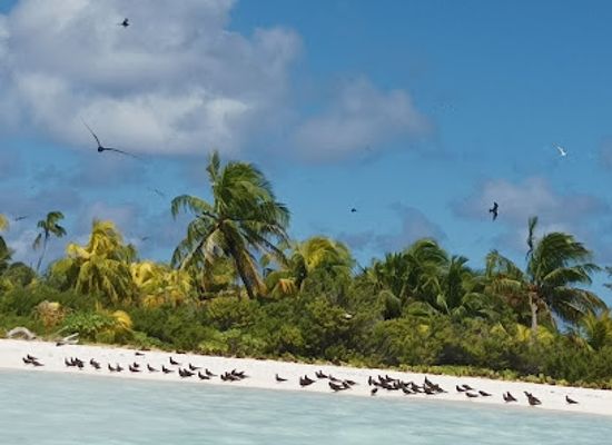french-polynesia/tetiaroa/landmark/poe-charter-tahiti