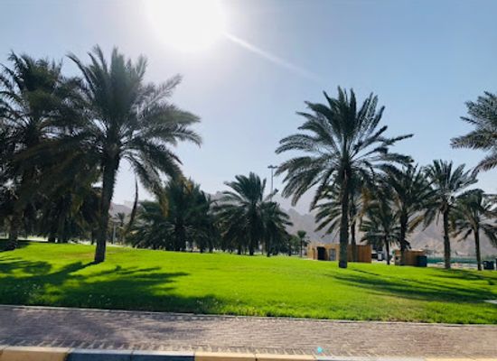 united-arab-emirates/al-ain-region/landmark/green-mubazzarah-public-park