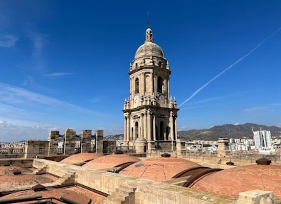 spain/costa-del-sol/landmark/santa-iglesia-catedral-basilica-de-la-encarnacion