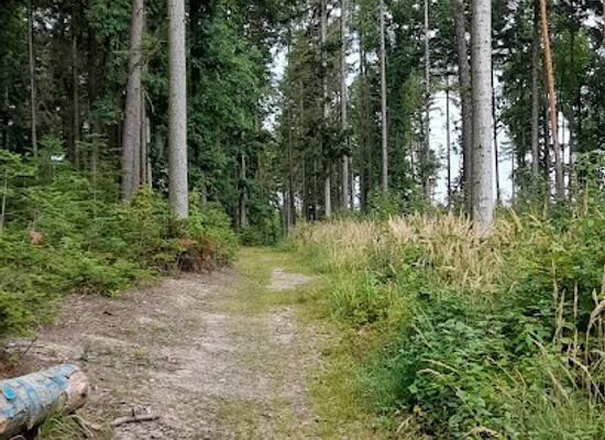czechia/svaty-kopecek/landmark/svatokopecka-trasa-na-svatem-kopecku