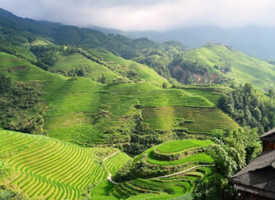 vietnam/sapa/landmark/trekking-tour-sapa