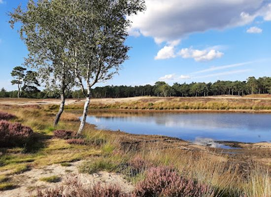 netherlands/veluwe/landmark/bosmeertje