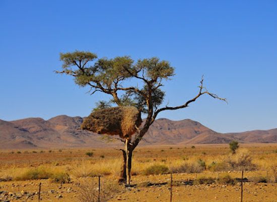 namibia/namib-naukluft-national-park/landmark/tok-tokkie-hiking-trails