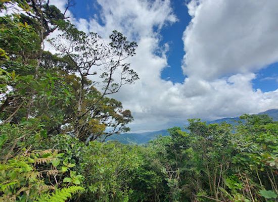 costa-rica/monteverde-cloud-forest/landmark/children-s-eternal-rainforest-main-office-monteverde-conservation-league