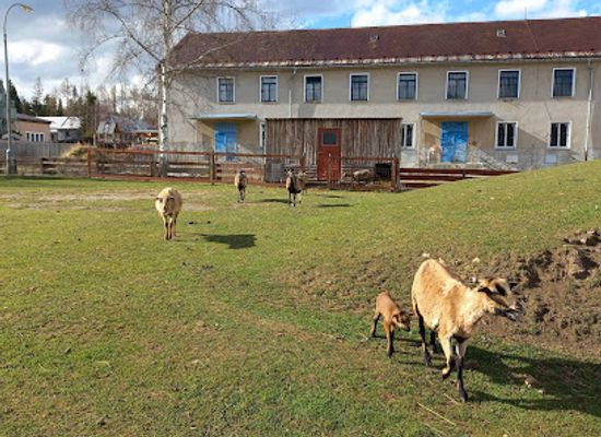 czechia/sumava/landmark/penzion-sumavous