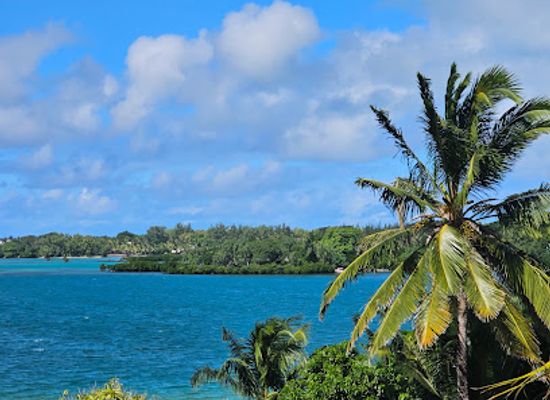 mauritius/ile-aux-cerfs/landmark/tino-boats