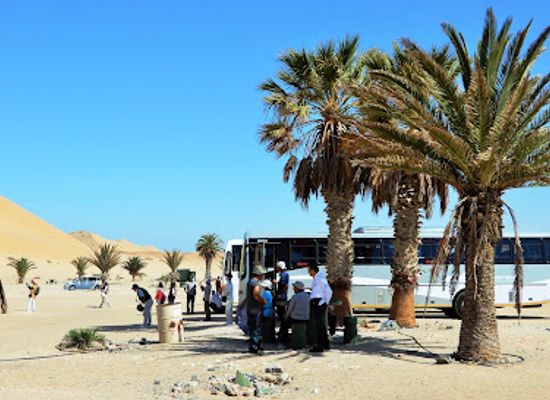 namibia/skeleton-coast/landmark/dune-7