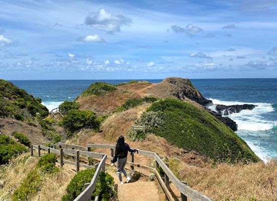 australia/mornington-peninsula/landmark/flinders-blowhole
