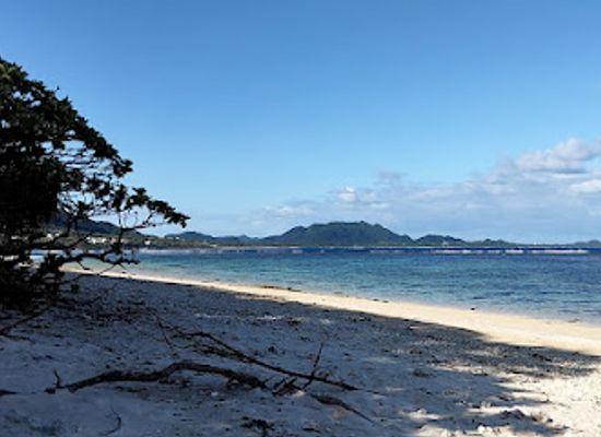japan/ishigaki-island/landmark/jellyfish-snorkel-rental-sales-kayak-blue-cave-tours-sea-turtle-snorkle-tours-car-rental