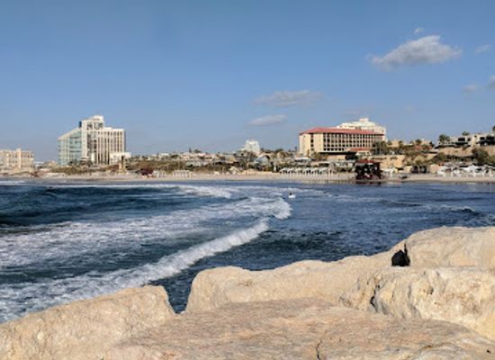 israel/herzliya/marina-herzliya/landmark/dan-acadia