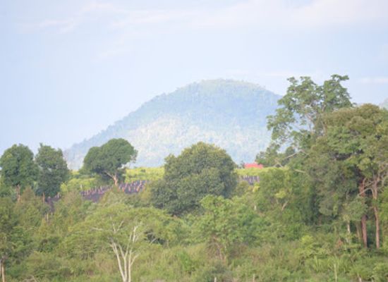 cambodia/mondulkiri-province/landmark/phnom-namlear-wildlife-sanctuary