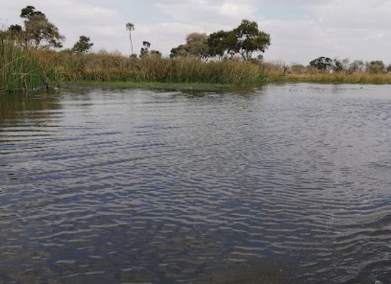angola/okavango-basin/landmark/cubango