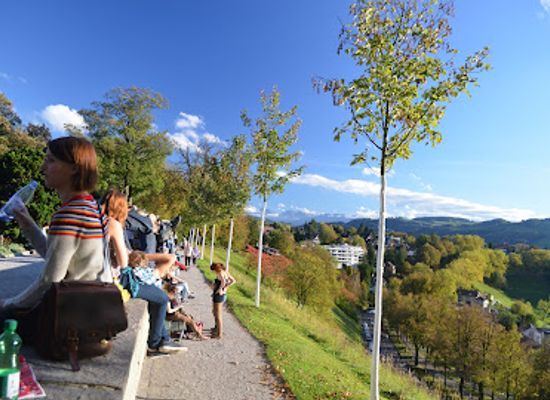 switzerland/swiss-plateau/landmark/universitat-bern-botanical-garden