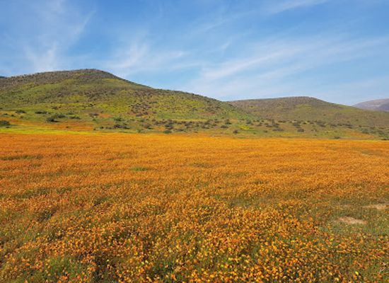 south-africa/overberg/landmark/west-coast-way