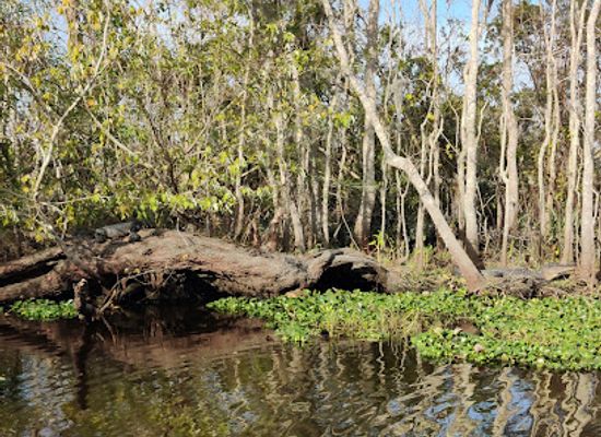 louisiana/acadiana/landmark/jean-lafitte-national-historical-park-and-preserve