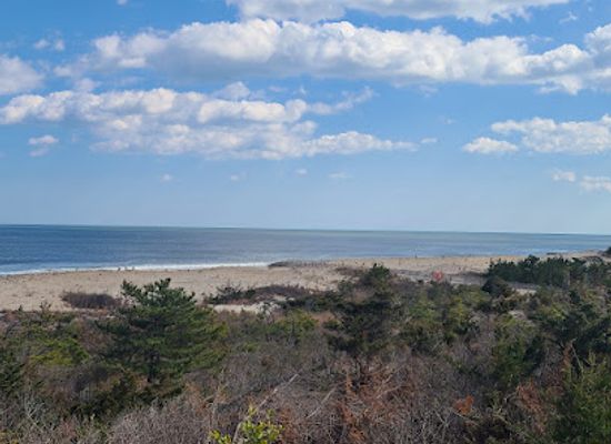 delaware/cape-henlopen-state-park/landmark/gordons-pond-trail