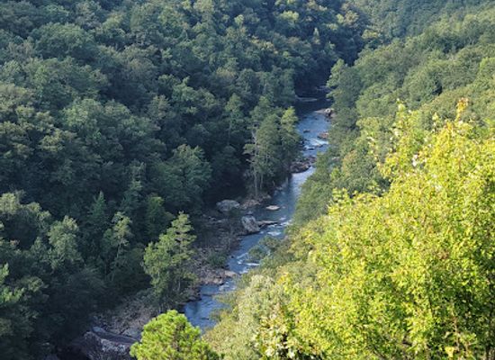 alabama/little-river-canyon-national-preserve/landmark/wolf-creek-overlook