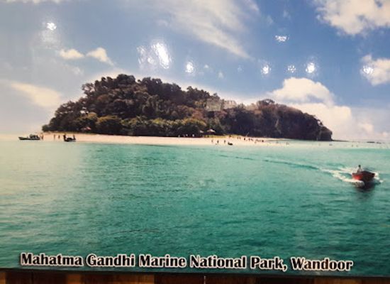india/andaman-and-nicobar-islands/landmark/forest-museum