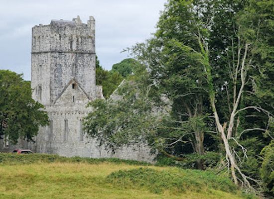 ireland/killarney/landmark/muckross-abbey