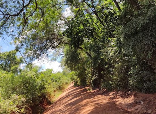 paraguay/cordillera-hills/landmark/callejon-ita-guyra