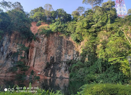 singapore/labrador-nature-reserve/landmark/bukit-batok-nature-park