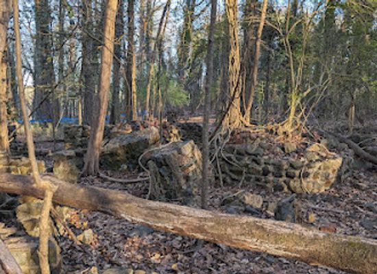 south-carolina/rock-hill/landmark/carhartt-mansion-ruins