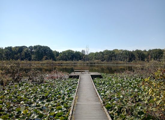 indiana/michiana/landmark/spicer-lake-nature-preserve