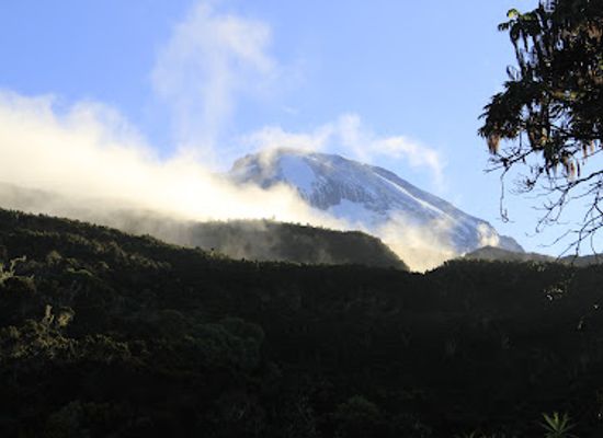 tanzania/moshi/landmark/jaynevy-tours-co-l-t-d-best-tanzania-tours-safari-company-in-serengeti-kilimanjaro-climbing-operators