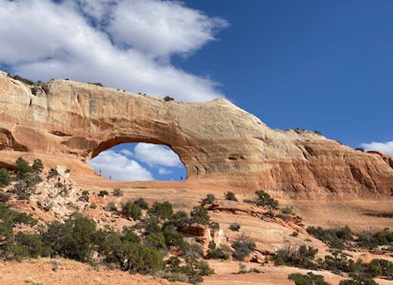utah/canyonlands/landmark/wilson-arch-scenic-view-area