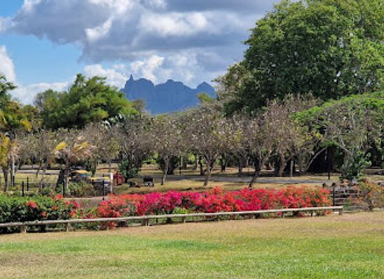 mauritius/pamplemousses/landmark/l-aventure-du-sucre