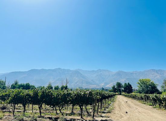 chile/central-valley/landmark/vina-cousino-macul