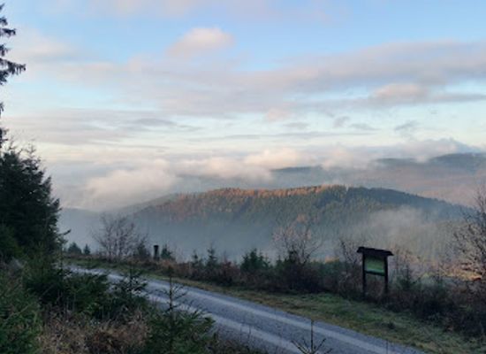 germany/harz/landmark/hanskuhnenburg