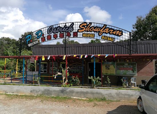 malaysia/negeri-sembilan/landmark/p-d-ostrich-show-farm