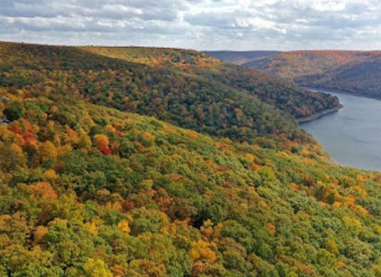 pennsylvania/allegheny-national-forest/landmark/allegheny-national-forest-anf-northern-entry