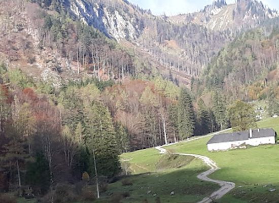 austria/kalkalpen-national-park/landmark/blumaueralm