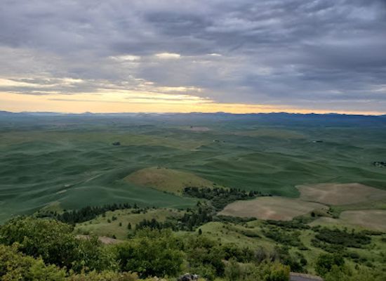 washington/eastern-washington/landmark/steptoe-butte-state-park