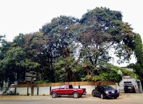 ghana/accra/labone/landmark/zen-garden