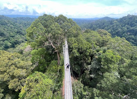 brunei/mukim-bokok/landmark/ulu-temburong-national-park