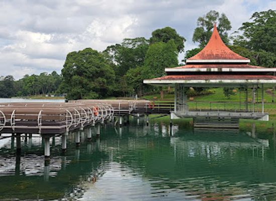 singapore/macritchie-reservoir/landmark/macritchie-reservoir-park