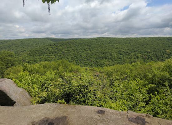 pennsylvania/allegheny-national-forest/landmark/minister-creek-scenic-overlook