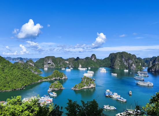 vietnam/ha-long/tuan-chau-island/landmark/tuan-chau-island