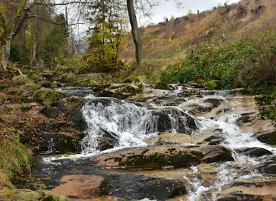 germany/anhalt/landmark/obere-ilsefalle