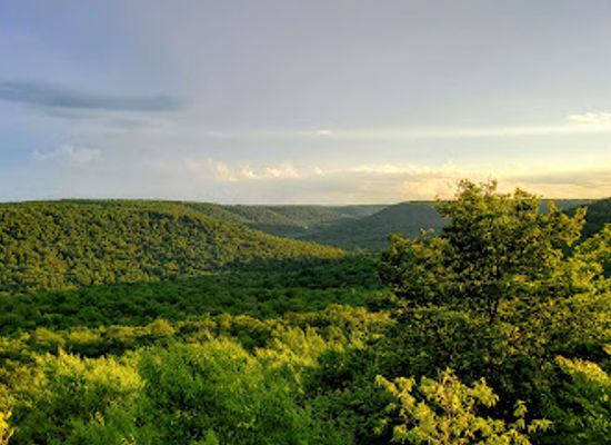 pennsylvania/appalachian-mountains/landmark/ricketts-glen-state-park