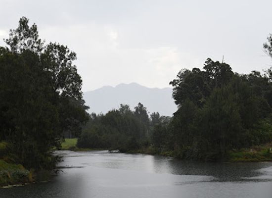 australia/northern-rivers/landmark/bellinger-river