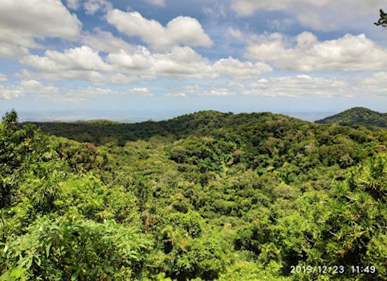 madagascar/andasibe/landmark/montagne-d-ambre-nationalpark