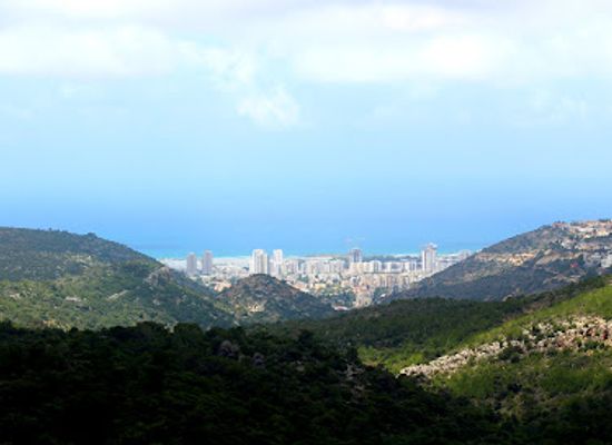 israel/haifa-district/landmark/hai-bar-nature-reserve