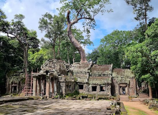 cambodia/takeo/landmark/ta-prohm-temple