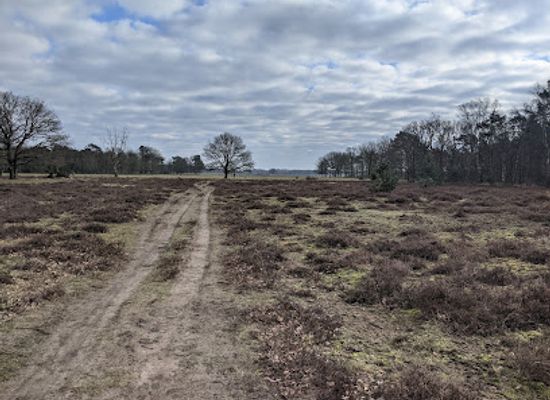 netherlands/north-brabant/landmark/de-maashorst