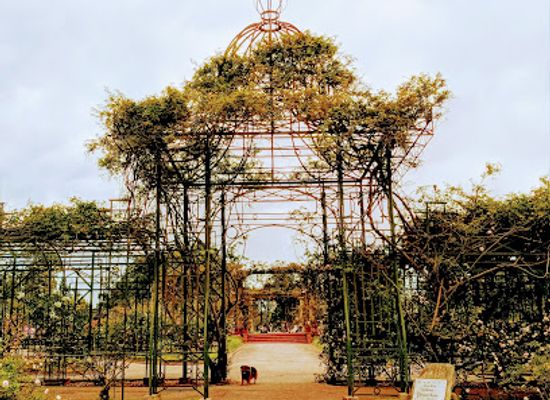 uruguay/cuchilla-grande/landmark/el-rosedal