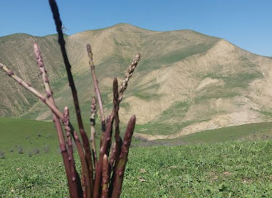 azerbaijan/greater-caucasus/landmark/alcapan-licapan-dagi